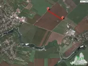 Oferim spre 6 loturi de teren extravilan (agricol) in Petra 