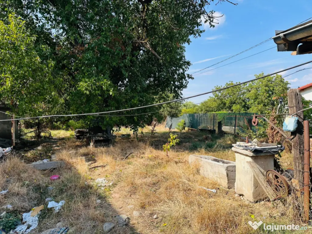 Super Teren intravilan 938 mp Chiajna- 15,5 mp/ 60 mp- ideal