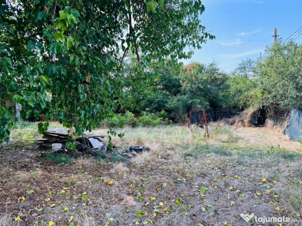 Super Teren intravilan 938 mp Chiajna- 15,5 mp/ 60 mp- ideal