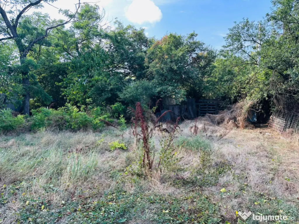 Super Teren intravilan 938 mp Chiajna- 15,5 mp/ 60 mp- ideal