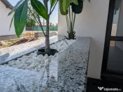 Casa nou 2025 Letea Veche 