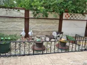 Super afacere, vila cu aspect de conac cu spatii moderne dar 