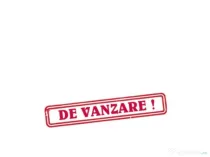 Casa batraneasca, teren 19.000 mp, Fratautii Vechi