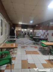 Camil Ressu- Ramnicu Sarat-adiacent- Fizicienilor curte+piscina 