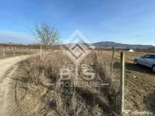 Teren intravilan Zona Unirea 