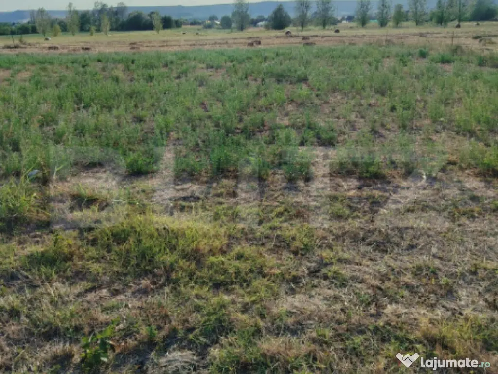 Teren intravilan 2895 mp, Gogosu Dolj