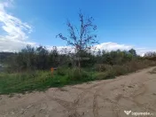 Resita, Teren Intravilan 2819 Mp., 16 Euro/Mp., Calea Carans 