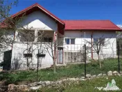 Vila cocheta de intro zona de basm langa Horezu in Bogdanes 