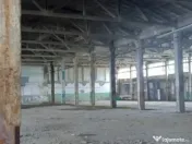 Activ de vanzare la 10 Km de Municipiul Braila ,3 Km de Dunare 