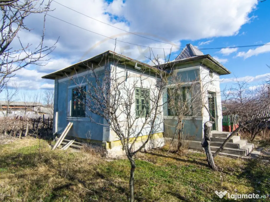 Casa traditionala argeseana – comuna Vedea, jud. Arges