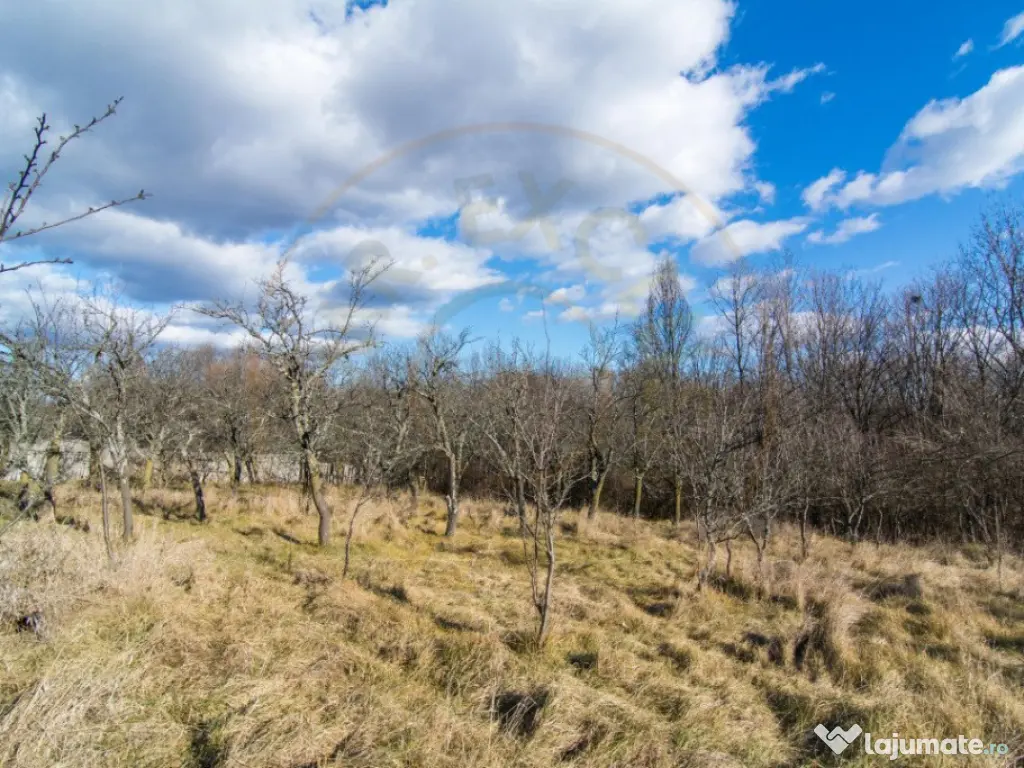 Casa traditionala argeseana – comuna Vedea, jud. Arges