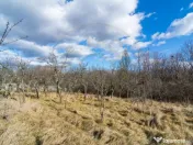 Casa traditionala argeseana – comuna Vedea, jud. Arges 