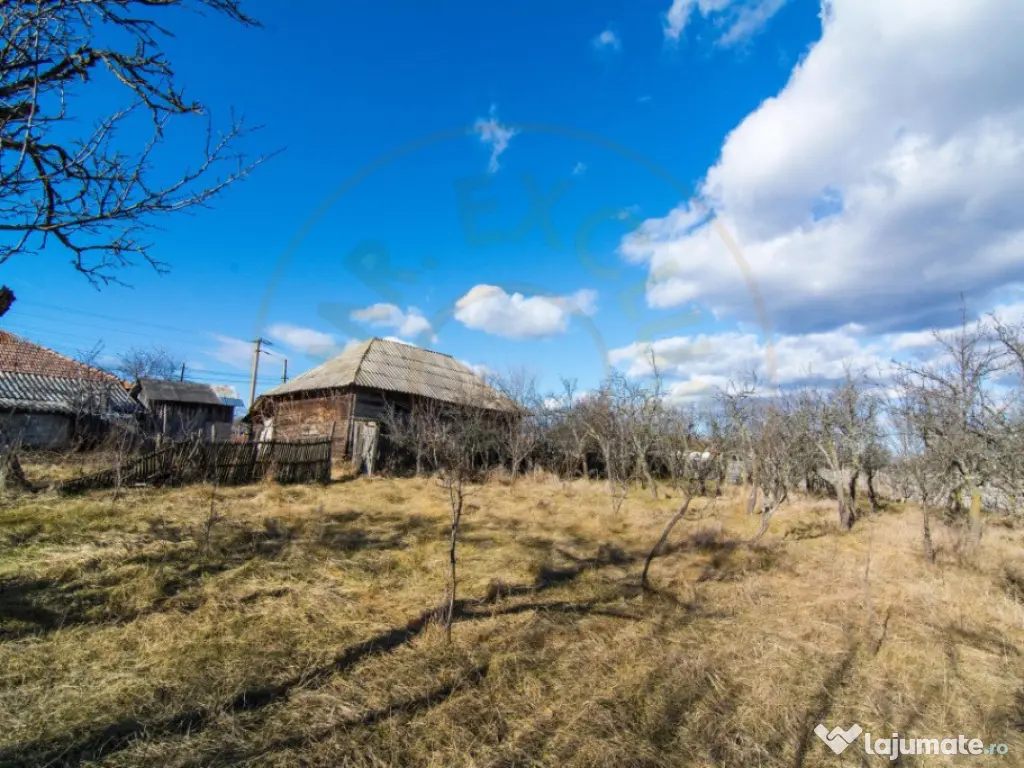 Casa traditionala argeseana – comuna Vedea, jud. Arges