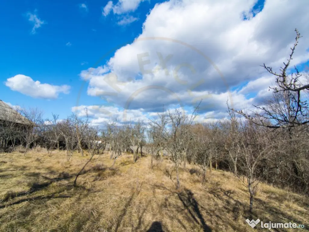 Casa traditionala argeseana – comuna Vedea, jud. Arges