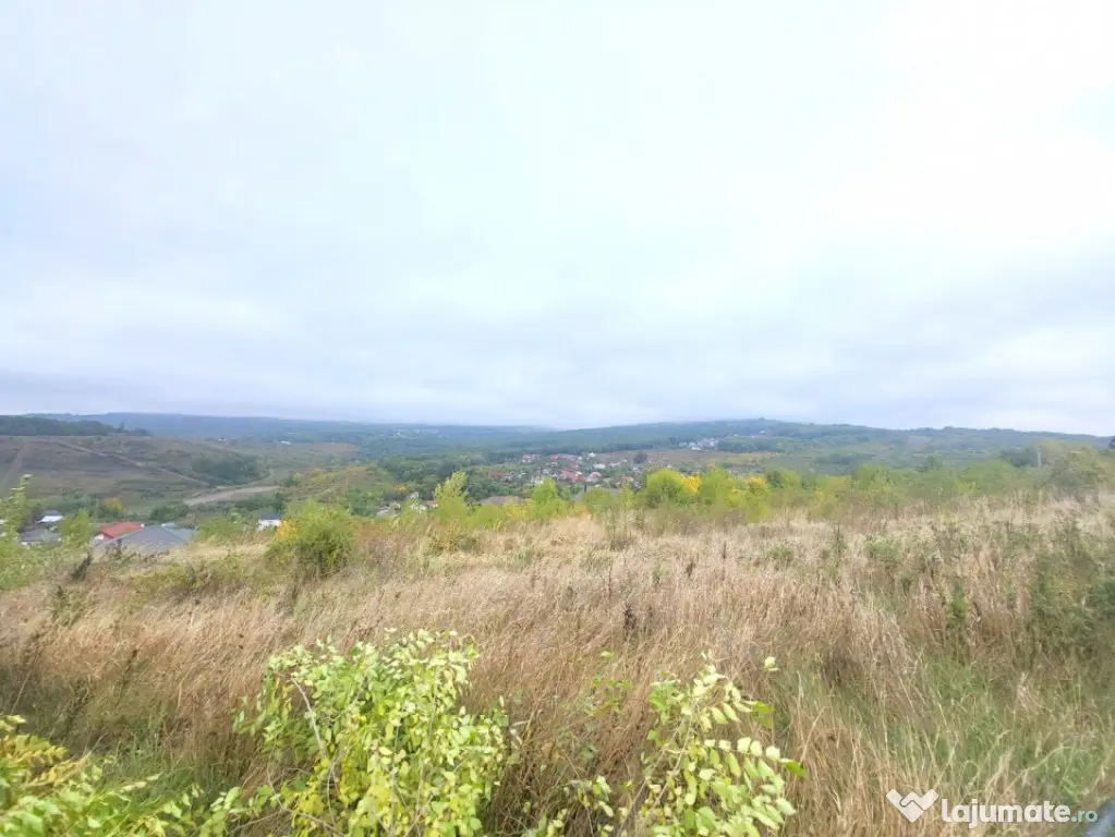 Teren de vanzare Barnova, cu priveliste Vanzare imediata - Barnova (Iasi)