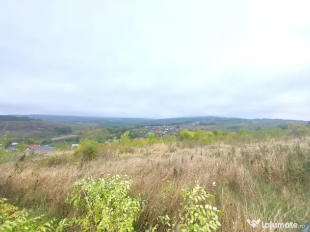 Teren de vanzare Barnova, cu priveliste Vanzare imediata - Barnova (Iasi)
