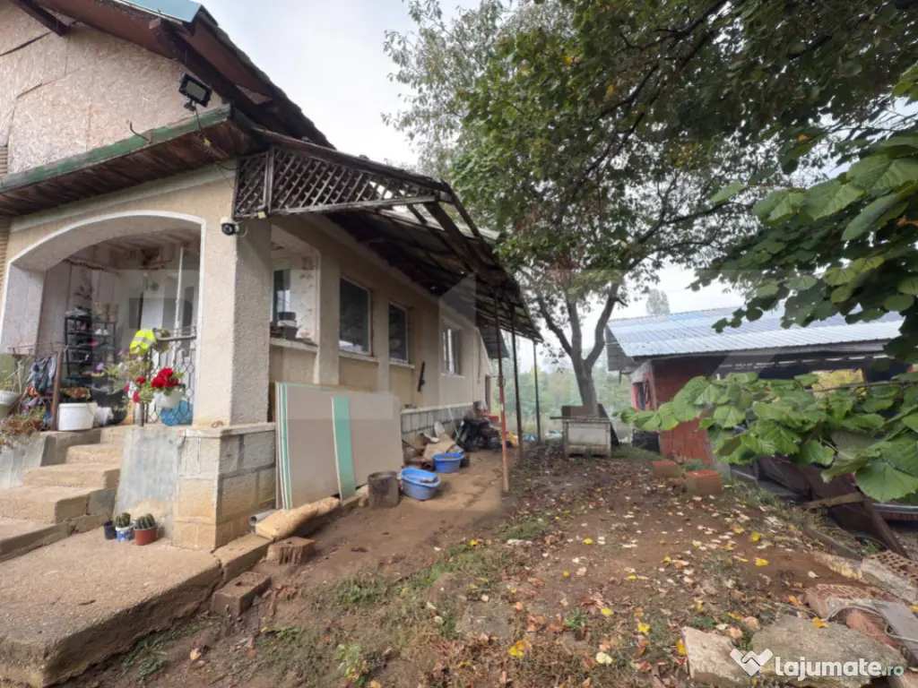 Casă 120 mp, teren 31 arii – Medișa, comuna Viile Satu M