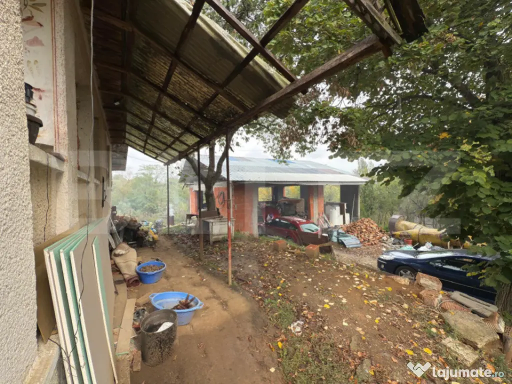 Casă 120 mp, teren 31 arii – Medișa, comuna Viile Satu M