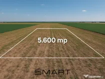 Teren extravilan 5600mp Daia Romana - Alba