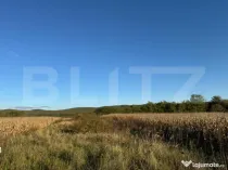 Teren extrvilan 1400mp in Branisca