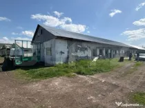 Hala Industriala 400 mp utili + 400 mp curte, JELNA