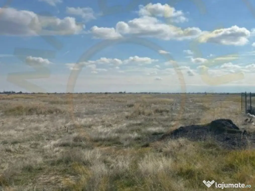 Teren 10000 mp - Albota Papillon, zona industriala in plina