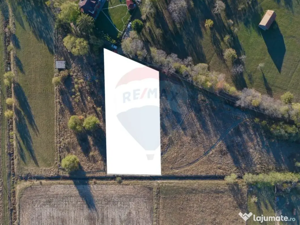 Comision 0% Teren de vânzare, zona Bran - Sohodol, 4000m...