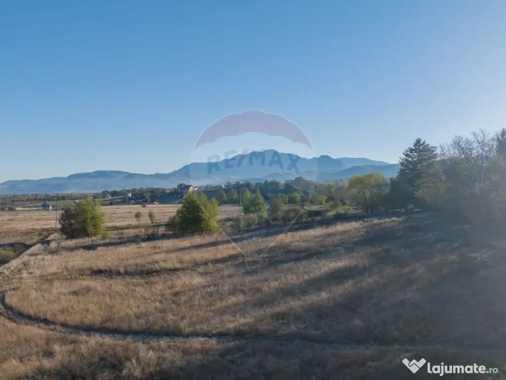 Comision 0% Teren de vânzare, zona Bran - Sohodol, 4000m...