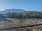 Comision 0% Teren de vânzare, zona Bran - Sohodol, 4000m... 