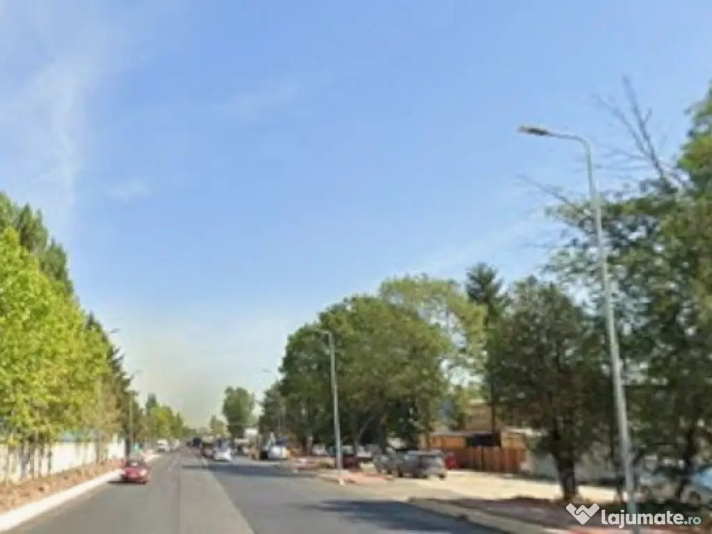 Teren 10000mp, d=29ml, zona Drumul Intre Tarlale, Oxigenului