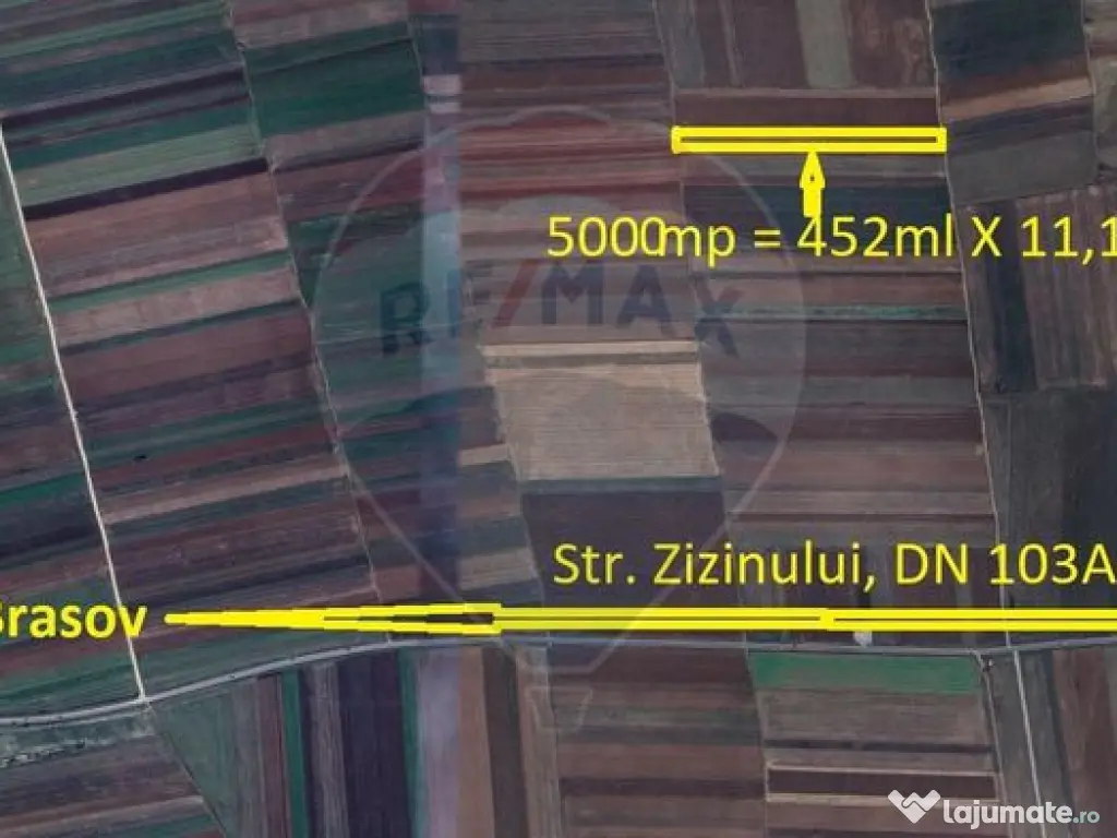 Teren Extravilan 5.000 mp Tarlungeni / Strada Zizinului