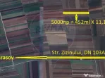 Teren Extravilan 5.000 mp Tarlungeni / Strada Zizinului