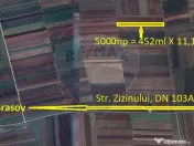 Teren Extravilan 5.000 mp Tarlungeni / Strada Zizinului 