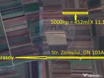 Teren Extravilan 5.000 mp Tarlungeni / Strada Zizinului