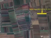 Teren Extravilan 5.000 mp Tarlungeni / Strada Zizinului 