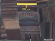 Teren Extravilan 5.000 mp Tarlungeni / Strada Zizinului 