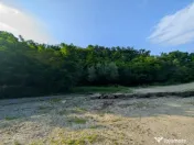 Sărata Băi- Oportunitate investiție- 4038 mp- priveliște 