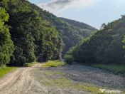 Sărata Băi- Oportunitate investiție- 4038 mp- priveliște 