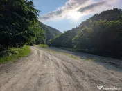 Sărata Băi- Oportunitate investiție- 4038 mp- priveliște 