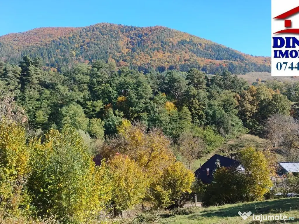 3600 mp teren intravilan, sat Bistrita, 12 Euro/mp