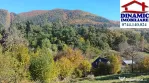 3600 mp teren intravilan, sat Bistrita, 12 Euro/mp