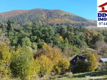 3600 mp teren intravilan, sat Bistrita, 12 Euro/mp