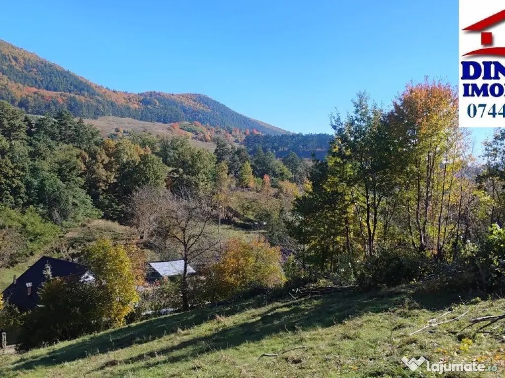 3600 mp teren intravilan, sat Bistrita, 12 Euro/mp