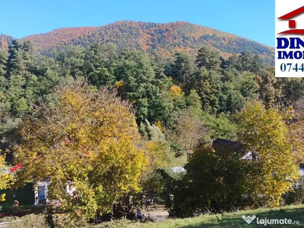 3600 mp teren intravilan, sat Bistrita, 12 Euro/mp