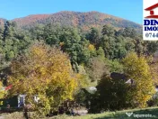 3600 mp teren intravilan, sat Bistrita, 12 Euro/mp 