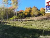 3600 mp teren intravilan, sat Bistrita, 12 Euro/mp 