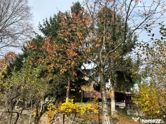 Casă modernă cu priveliște panoramică – ideală pentru - Tautii De Sus (Maramures)