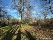 GOSPODARIE - liniste - natura - DE VANZARE 