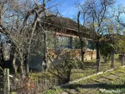 GOSPODARIE - liniste - natura - DE VANZARE 