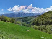 Peisaj spectaculos | Utilități ITeren intravilan Moieci... 